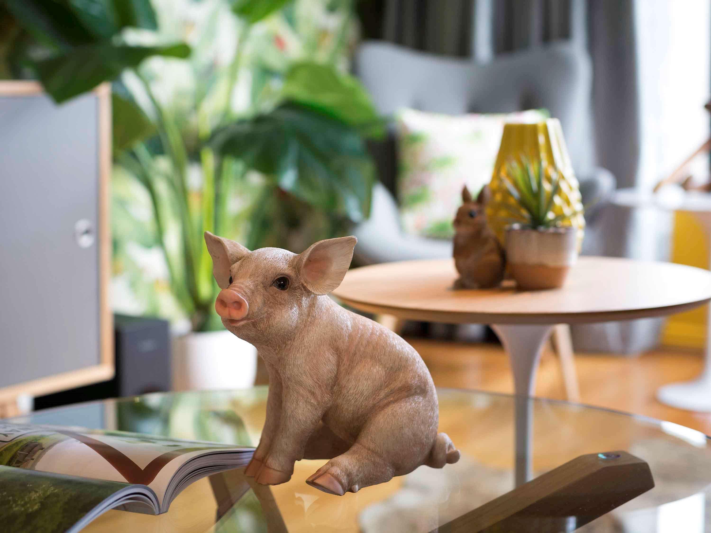 فندق بولمان سيدني هايد بارك المظهر الخارجي الصورة A piglet